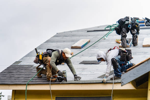 Professional Roofing technician working in Check, VA